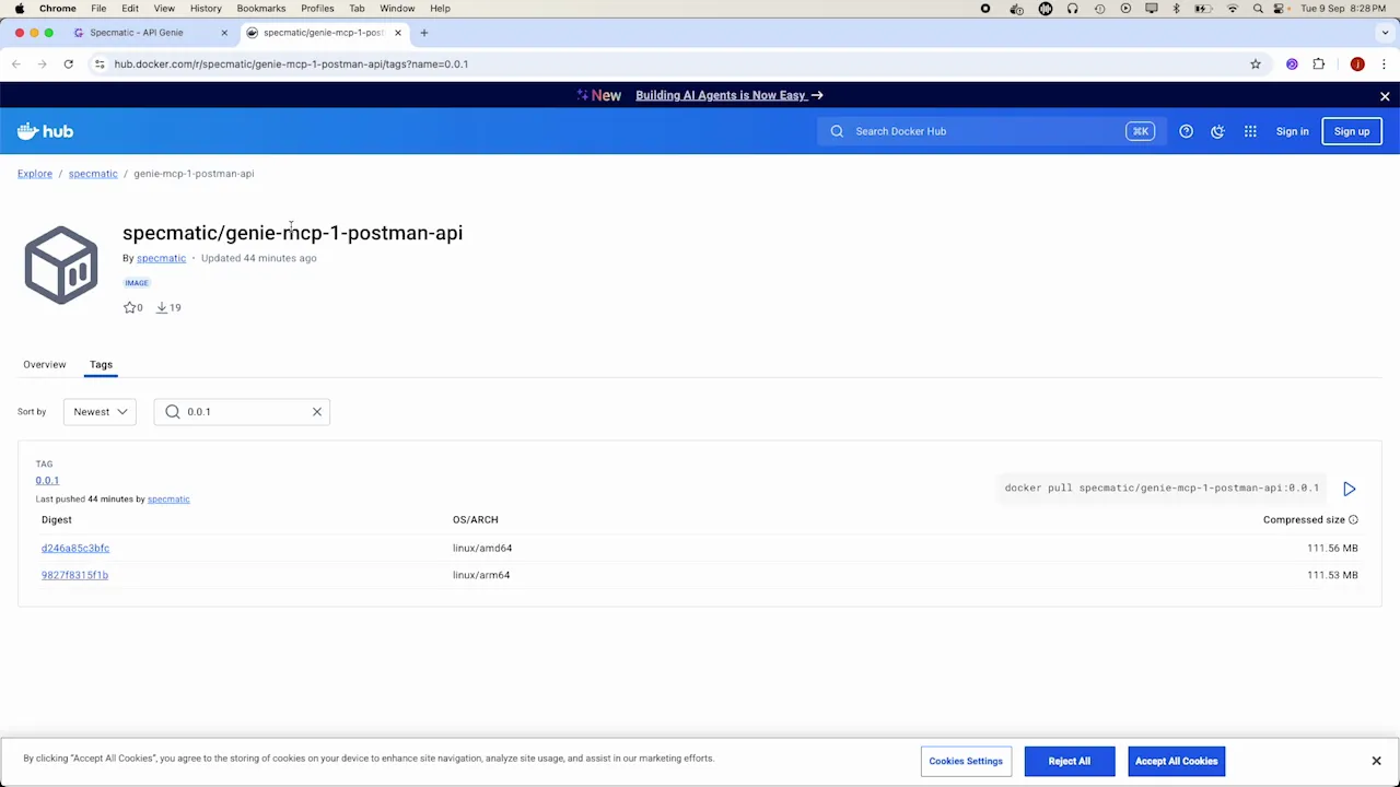 Publishing status indicates MCP server created and pushed to registry