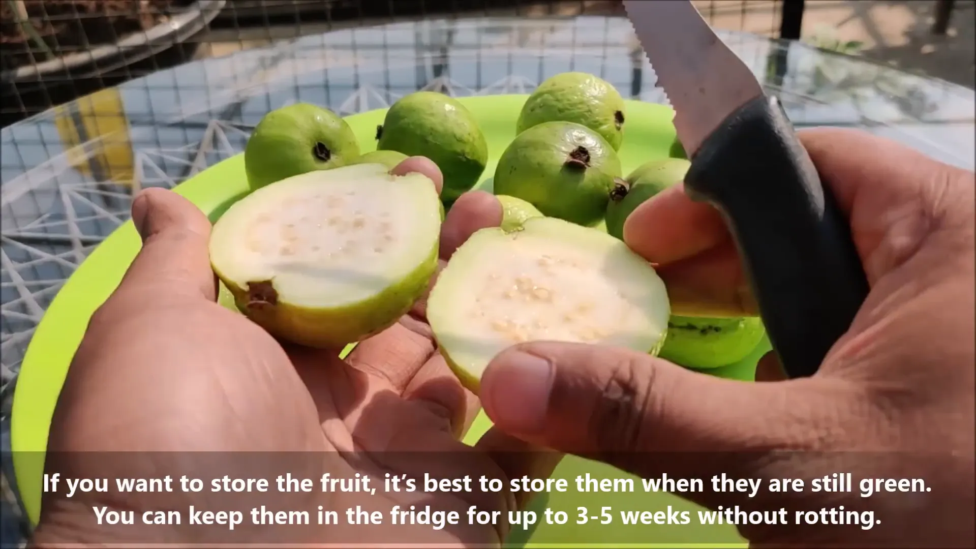 Proper storage techniques for guava fruits
