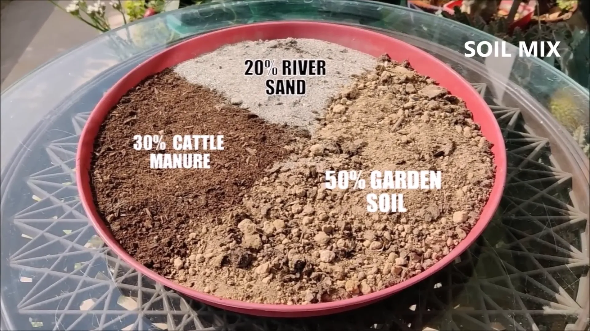 Preparing the soil mix for guava