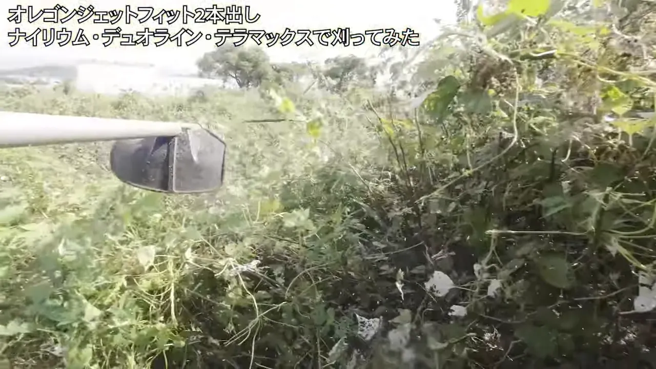 テラマックスを装着したヘッドが密生した草を刈っている様子