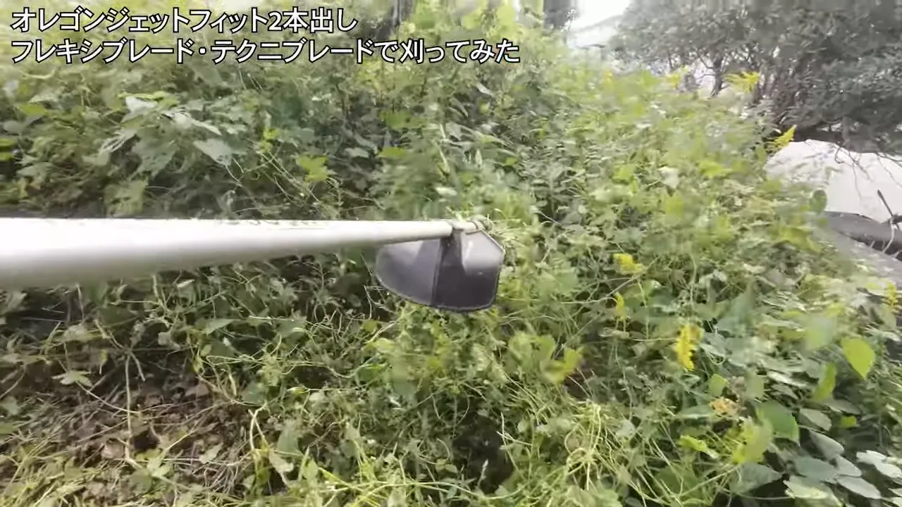 深めに伸びた背丈の高い草を刈り始めた様子