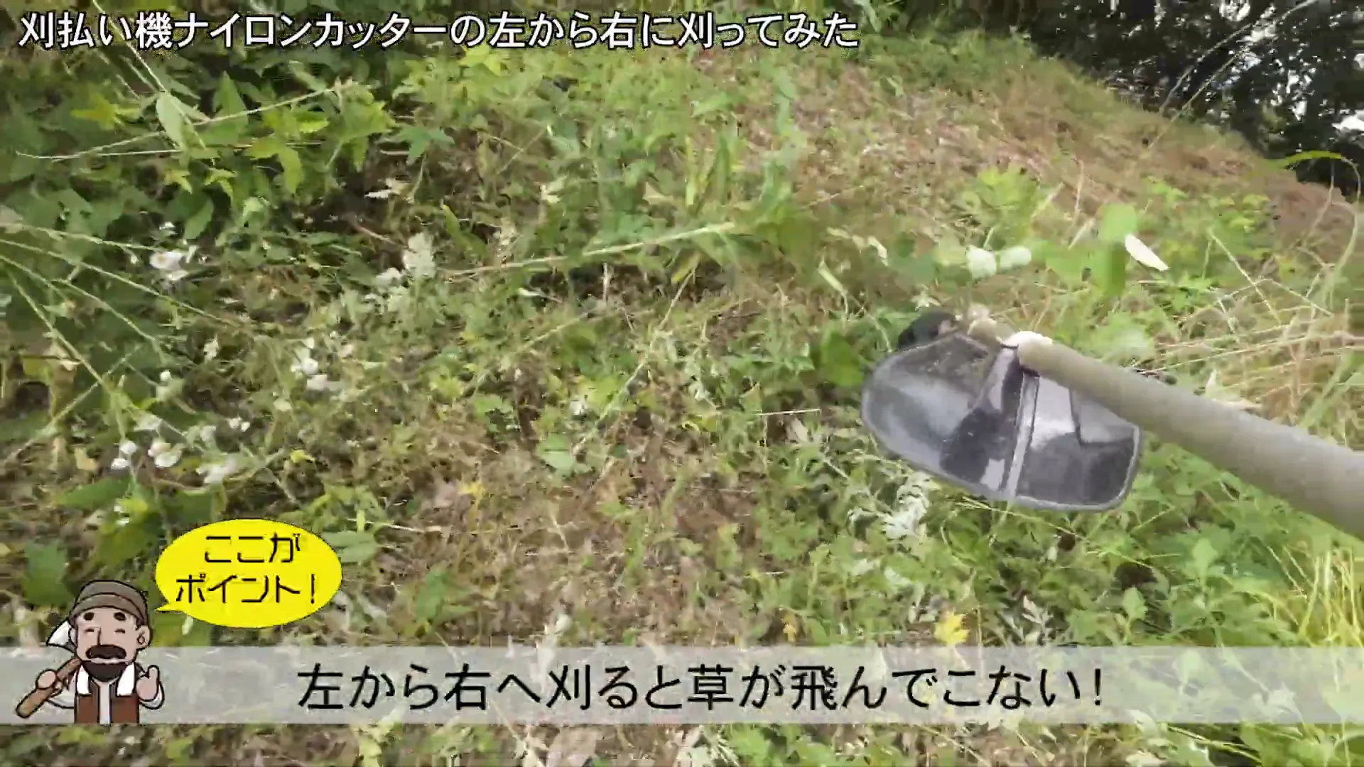 右から左に刈る様子
