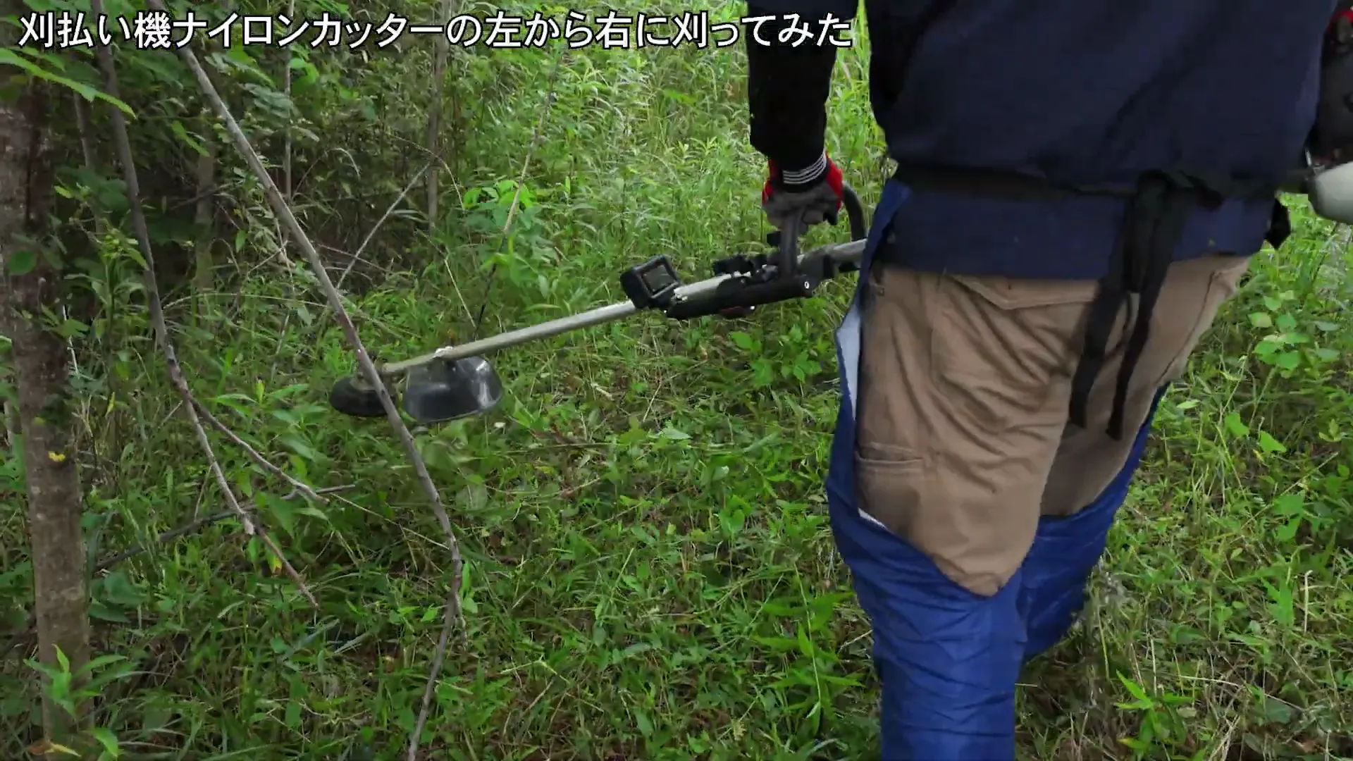 実験結果のまとめ
