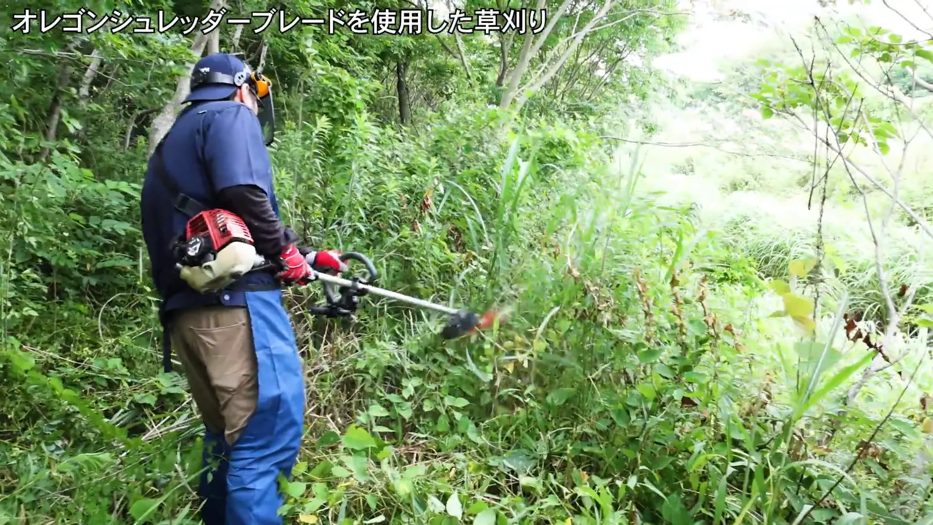 3枚刃での草刈りの様子