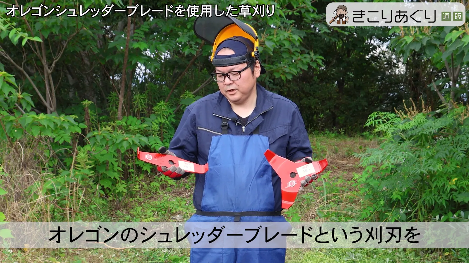 オレゴンシュレッダーブレードの紹介