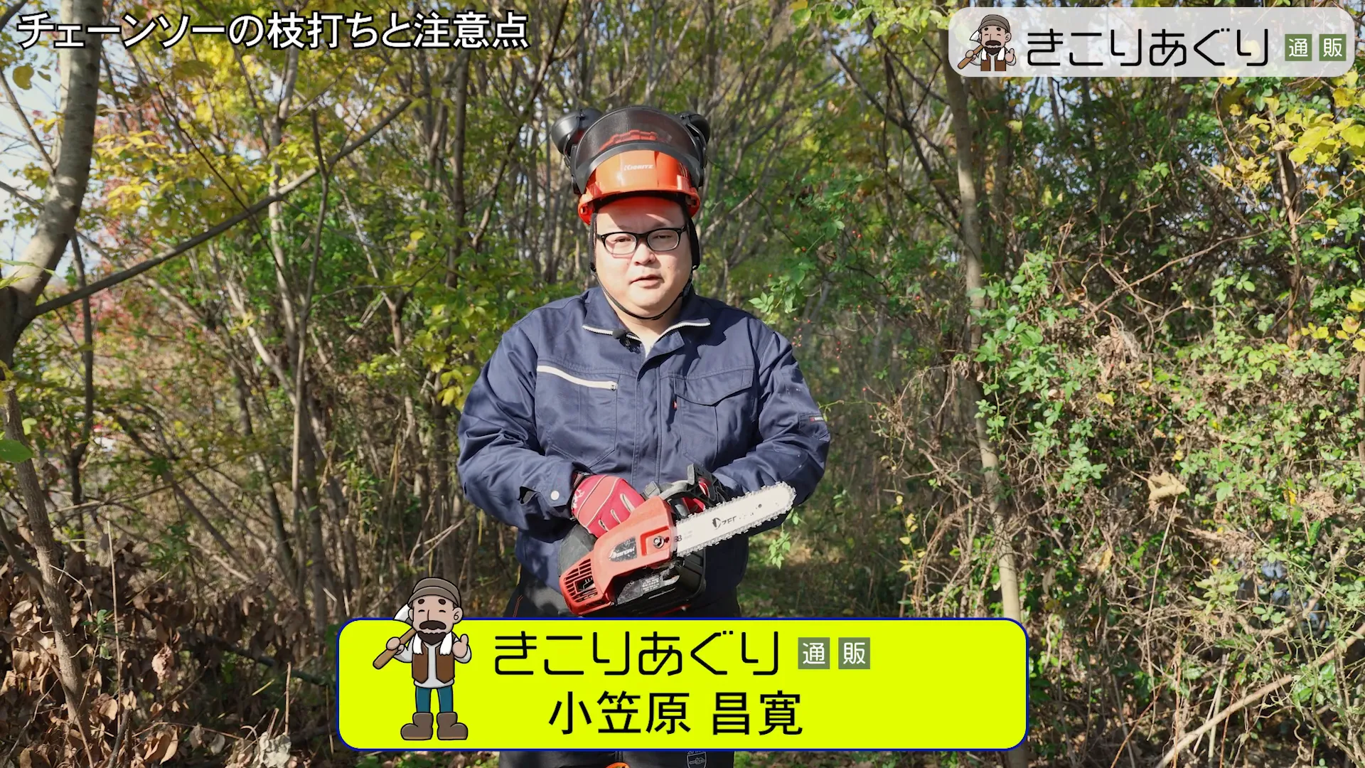 小型のトップハンドルチェーンソーの紹介