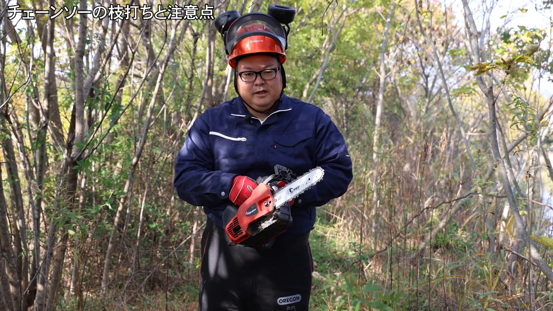 チェーンソーの便利さと危険性の説明