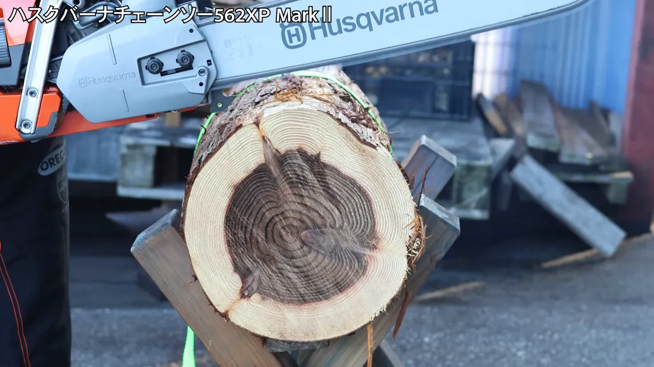 切断された丸太の切り口とチェンソーのバーのクローズアップ