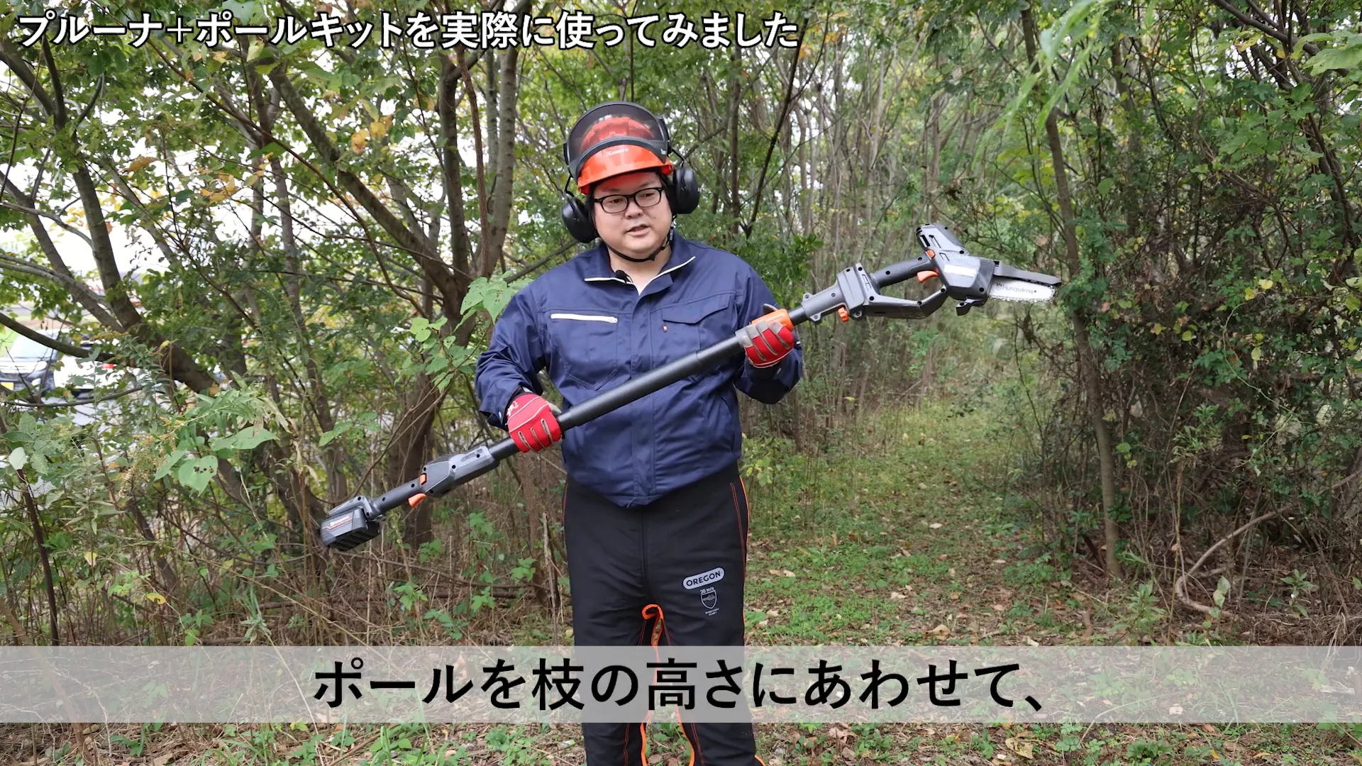 高い枝の剪定に挑戦するシーン