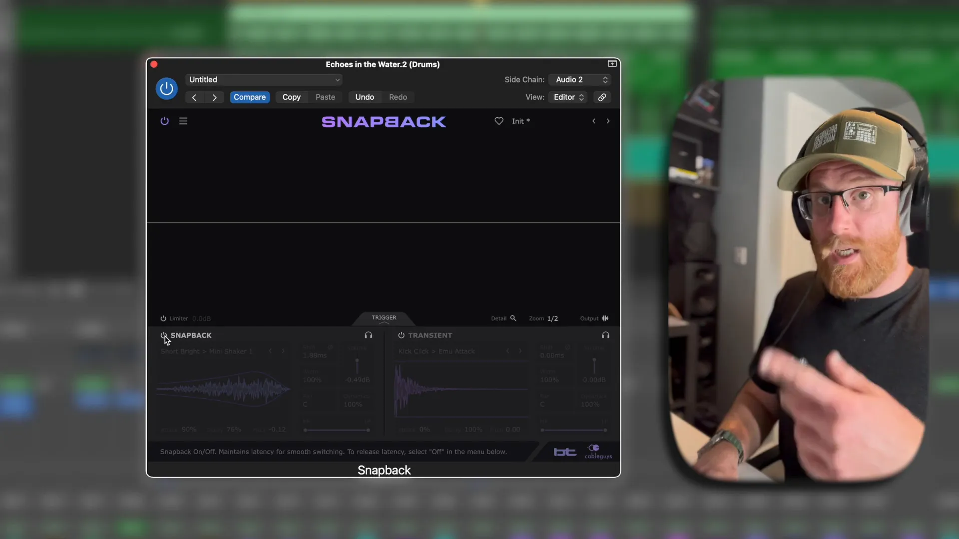 Snapback Plugin Interface