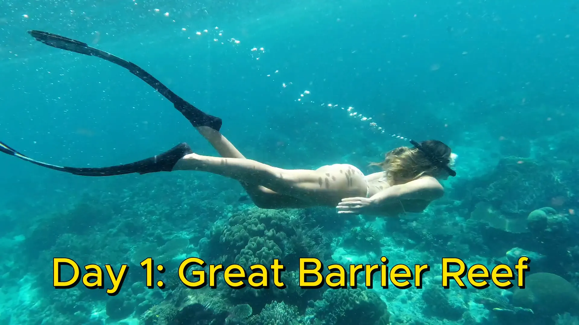 Snorkeling at the Great Barrier Reef