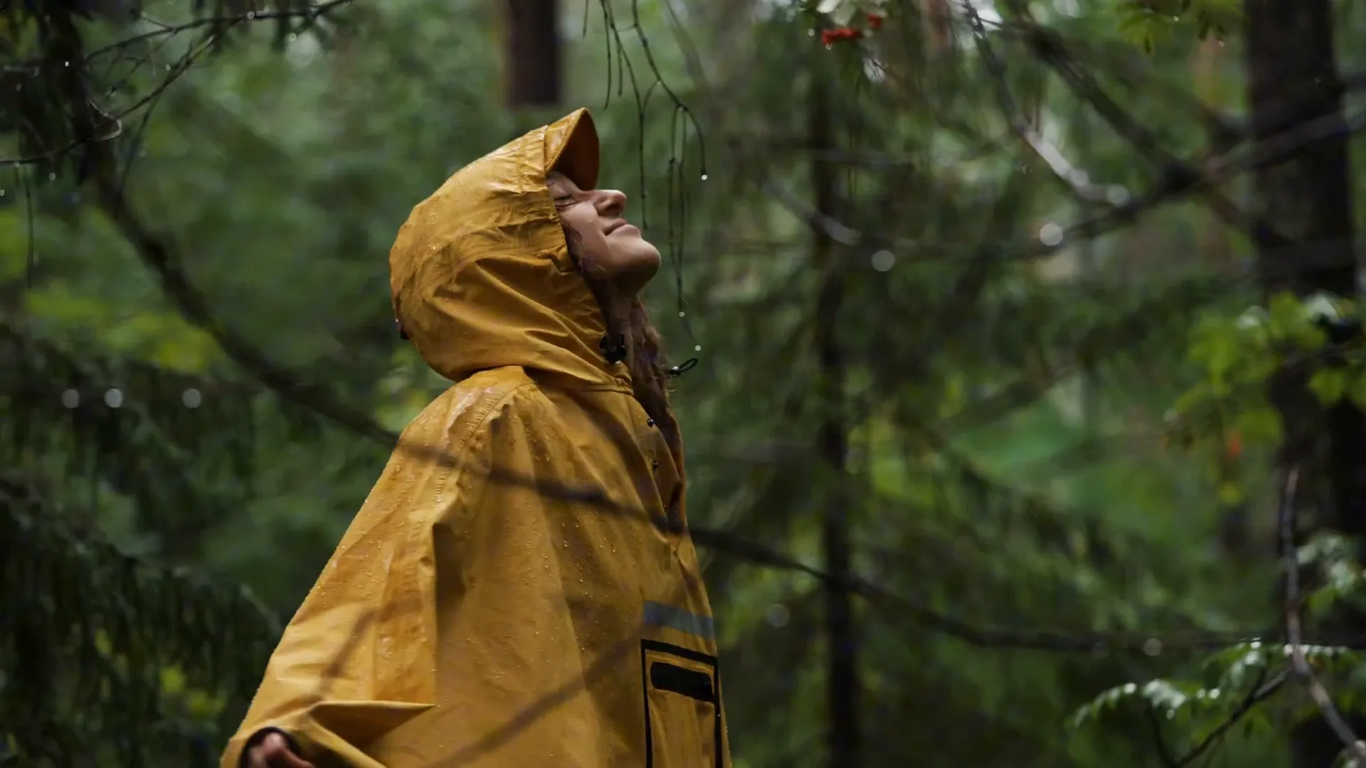 Rainy weather enhancing Milford Sound's beauty