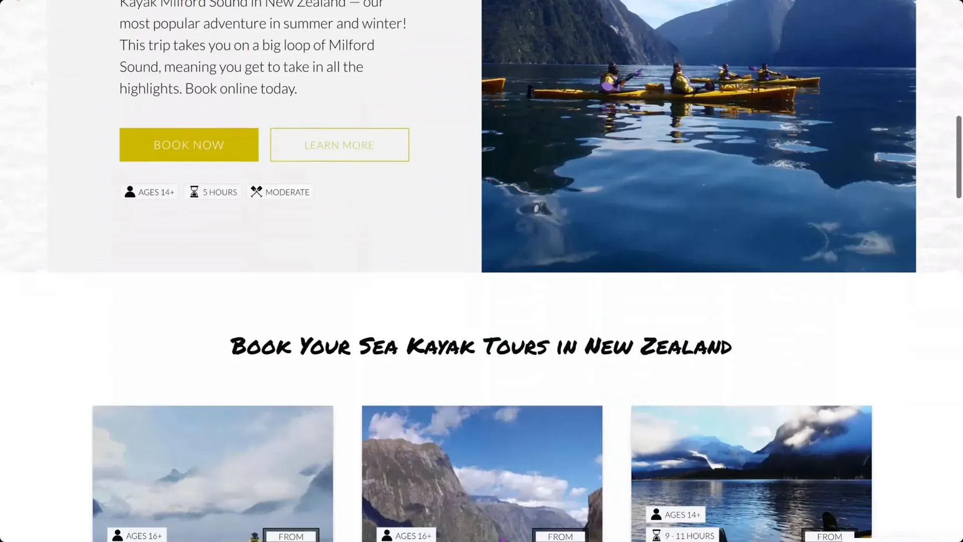 Kayaking in the fjords of Milford Sound