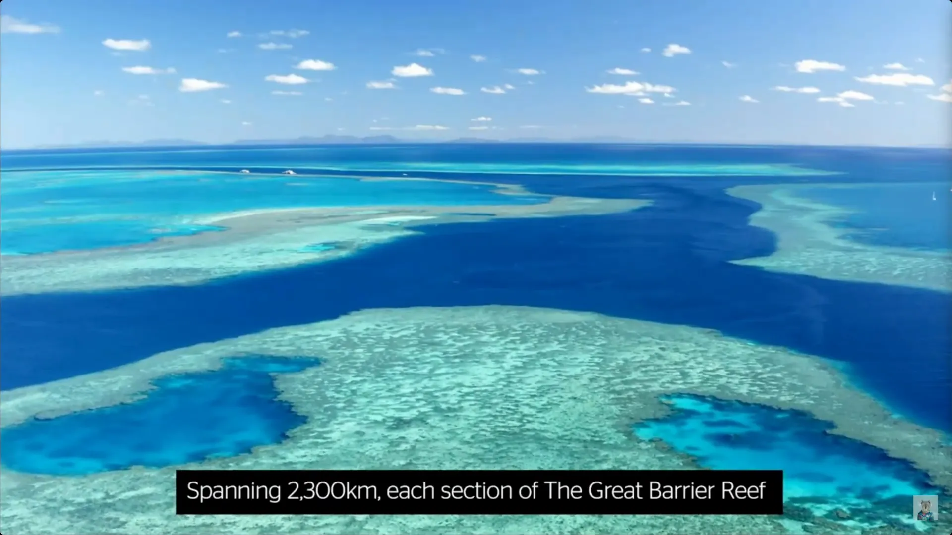 Snorkeling tour at the Great Barrier Reef