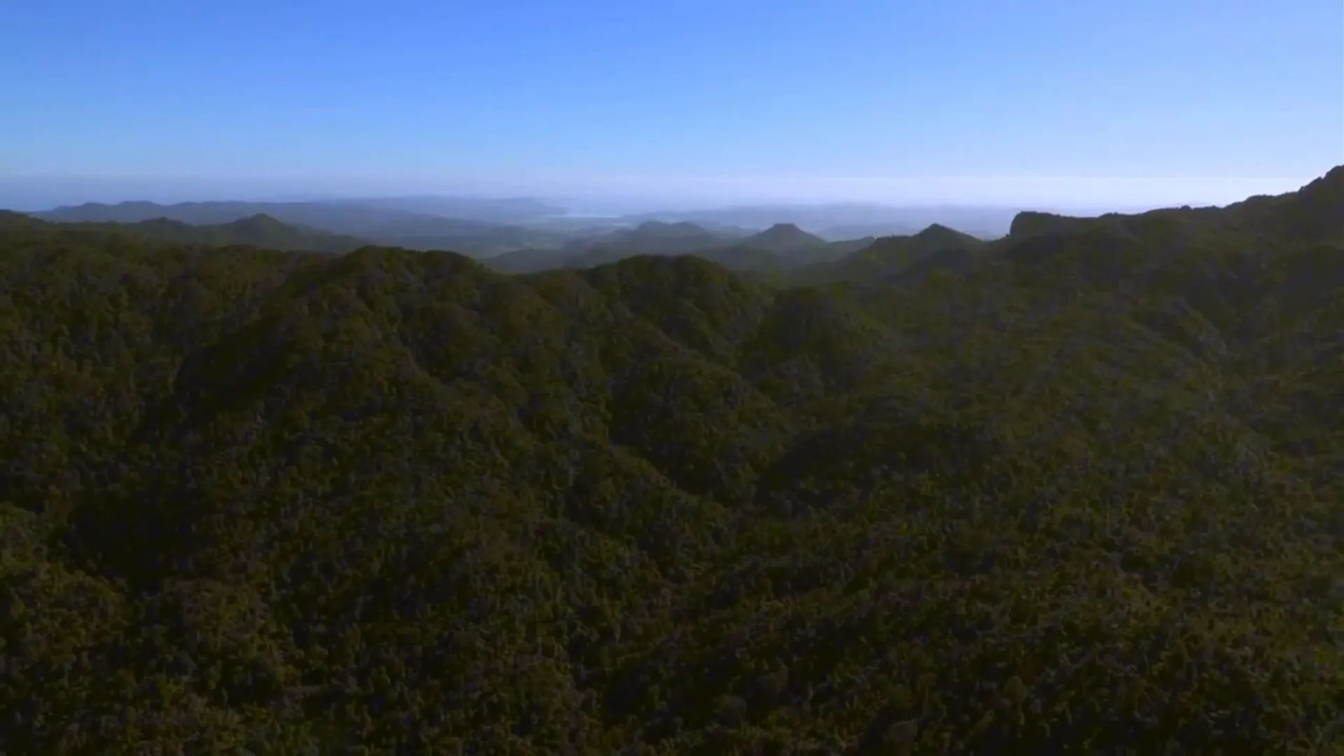 Viewpoint in Coromandel township