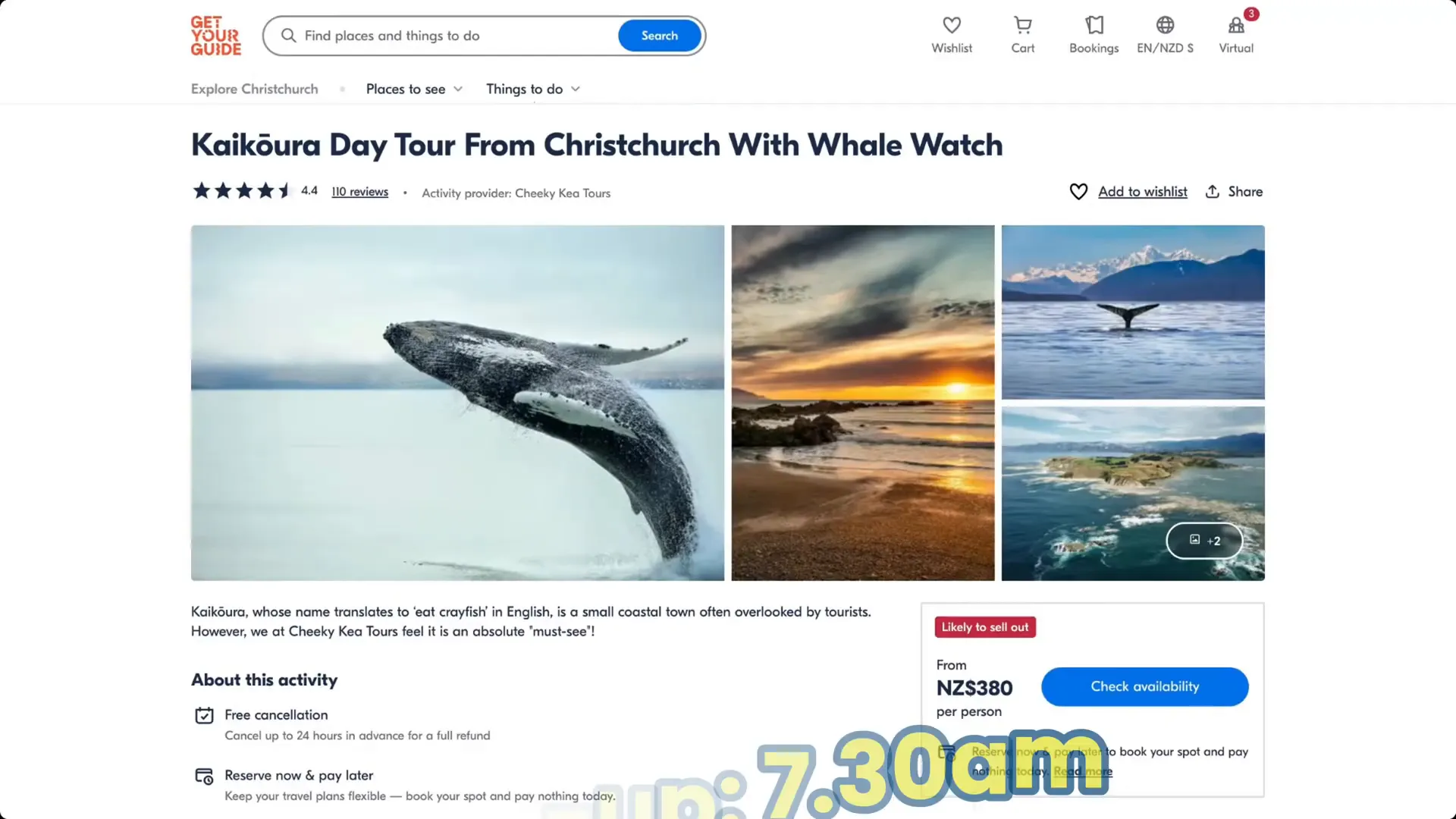 Planning a trip to Kaikoura