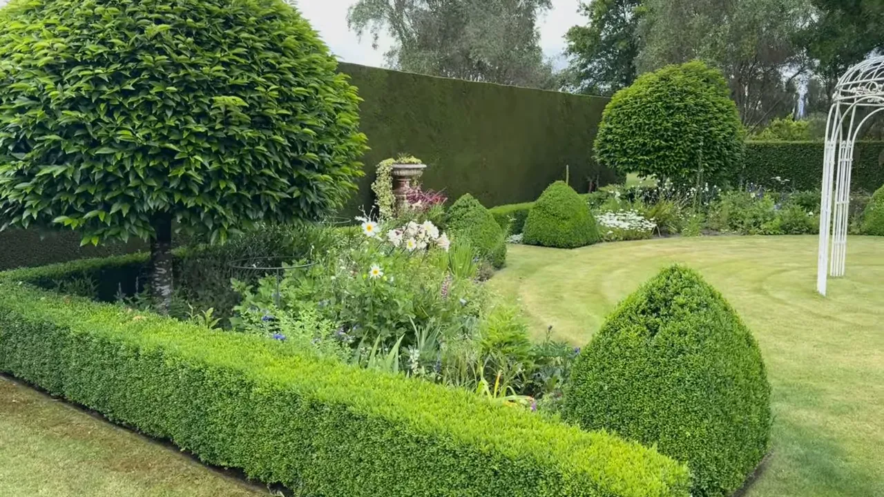 Formal cottage garden with clipped hedges, round topiary trees and a swept lawn