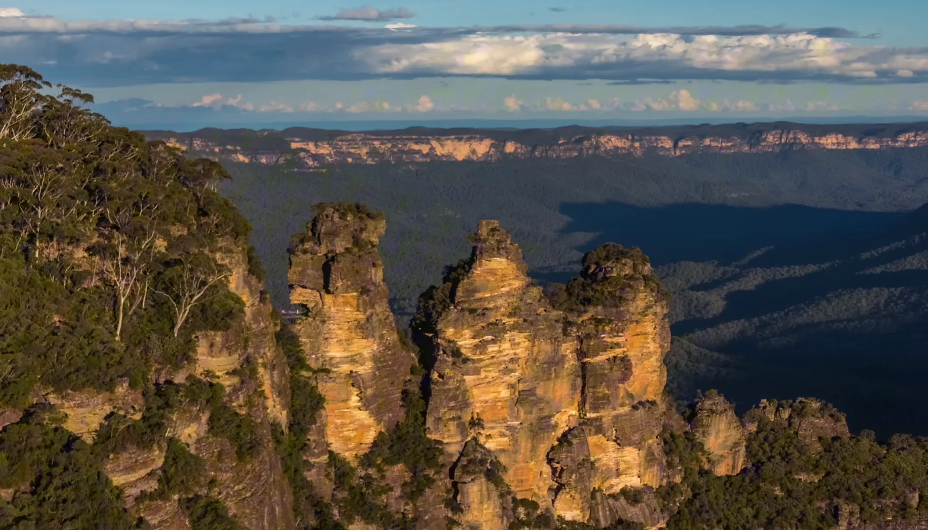 Blue Mountains landscape with eucalyptus forest