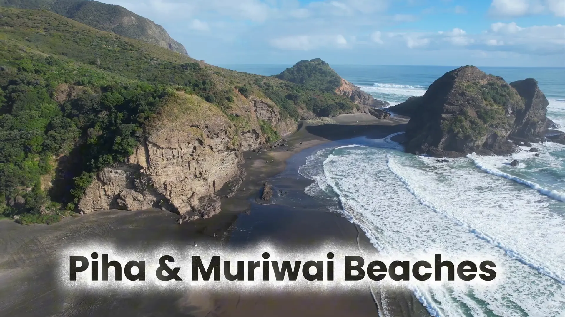 Waitakere Ranges lush rainforest and coastal views
