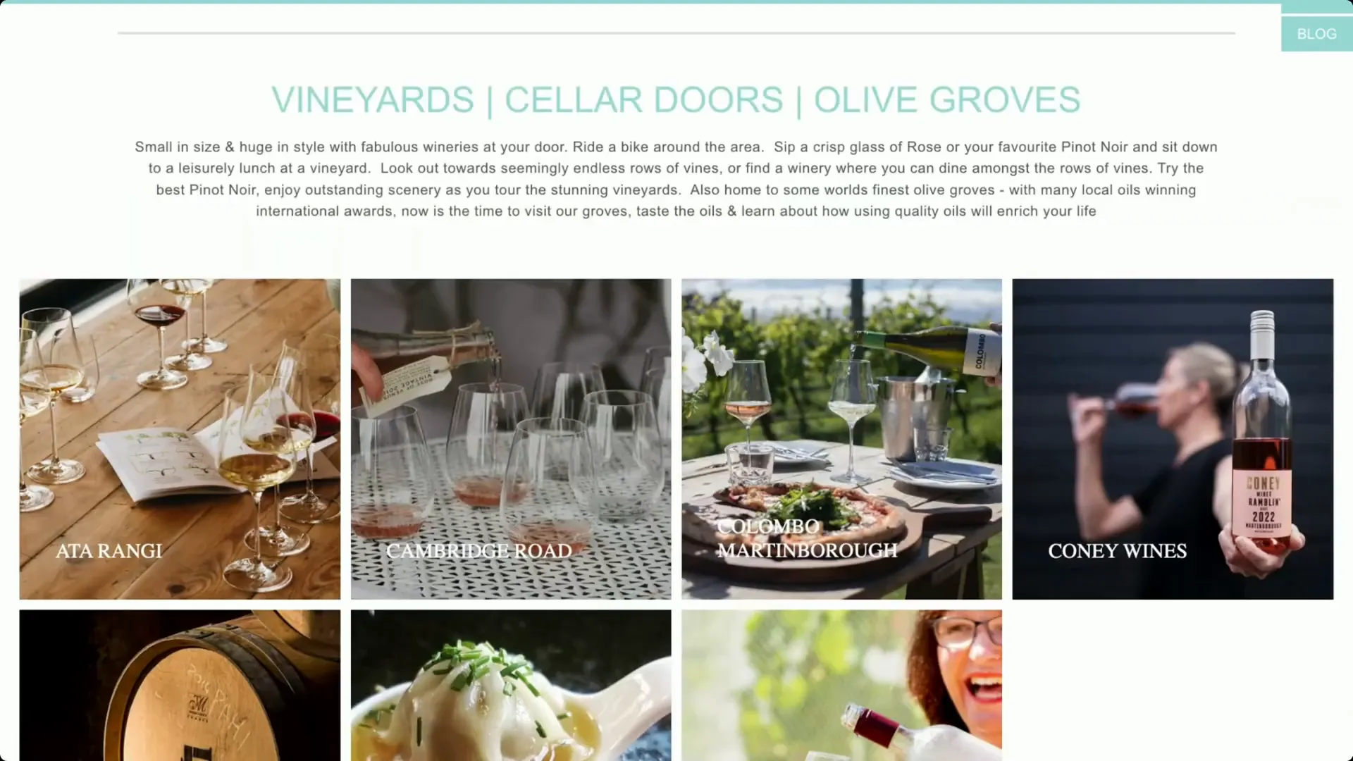 Martinborough vineyards and wine tasting