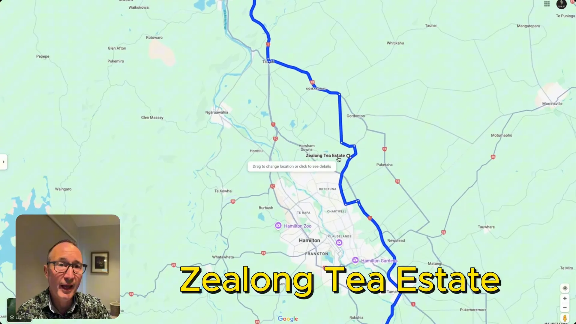 Tea tasting at Zealong Tea Estate in between auckland to rotorua drive with waitomo glowworm caves