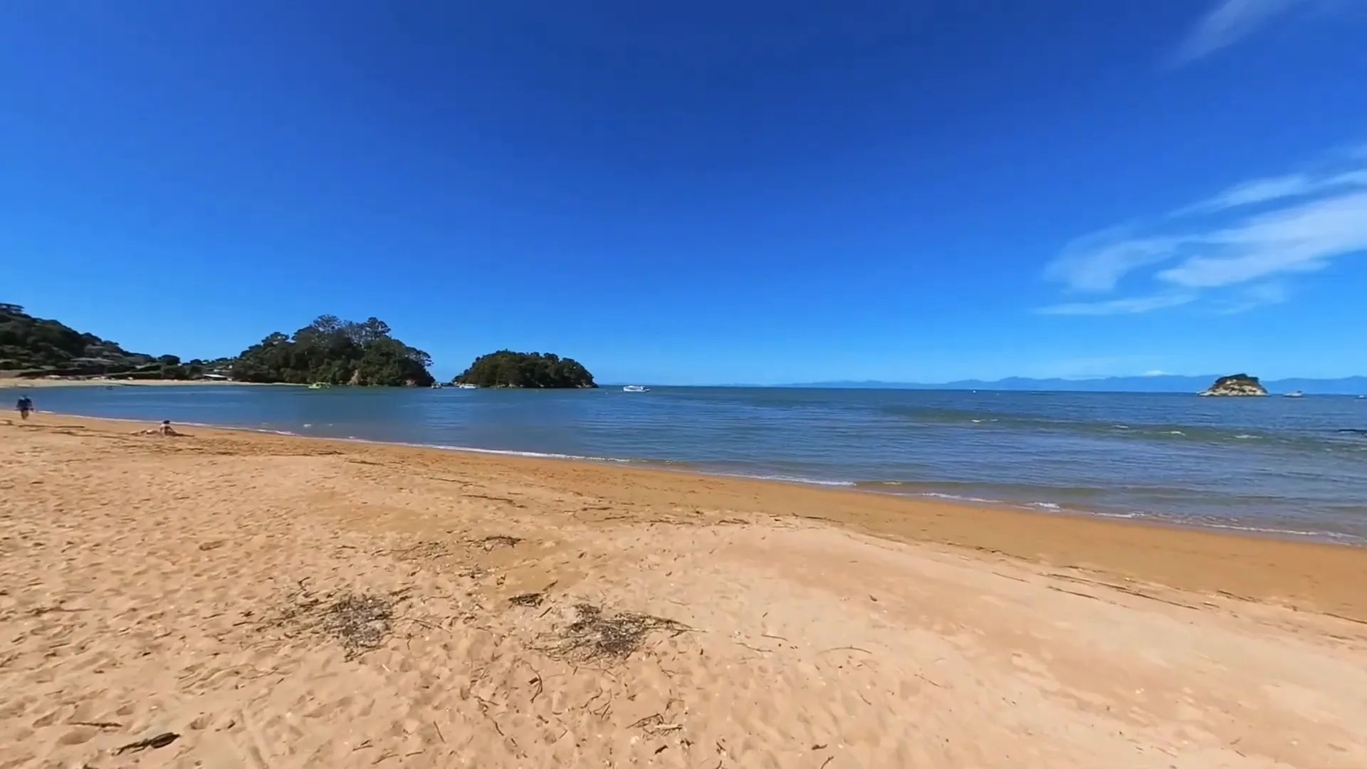 Kayaking in Abel Tasman National Park