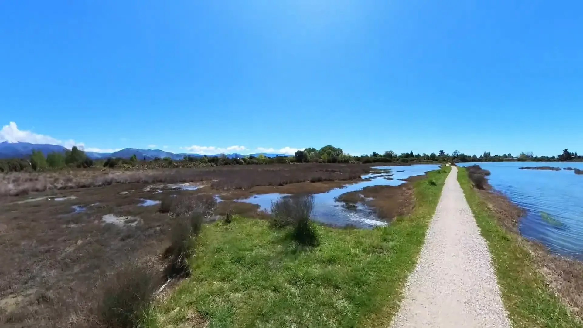 Cyclist enjoying the scenic Motueka shoreline with views of Tasman Bay