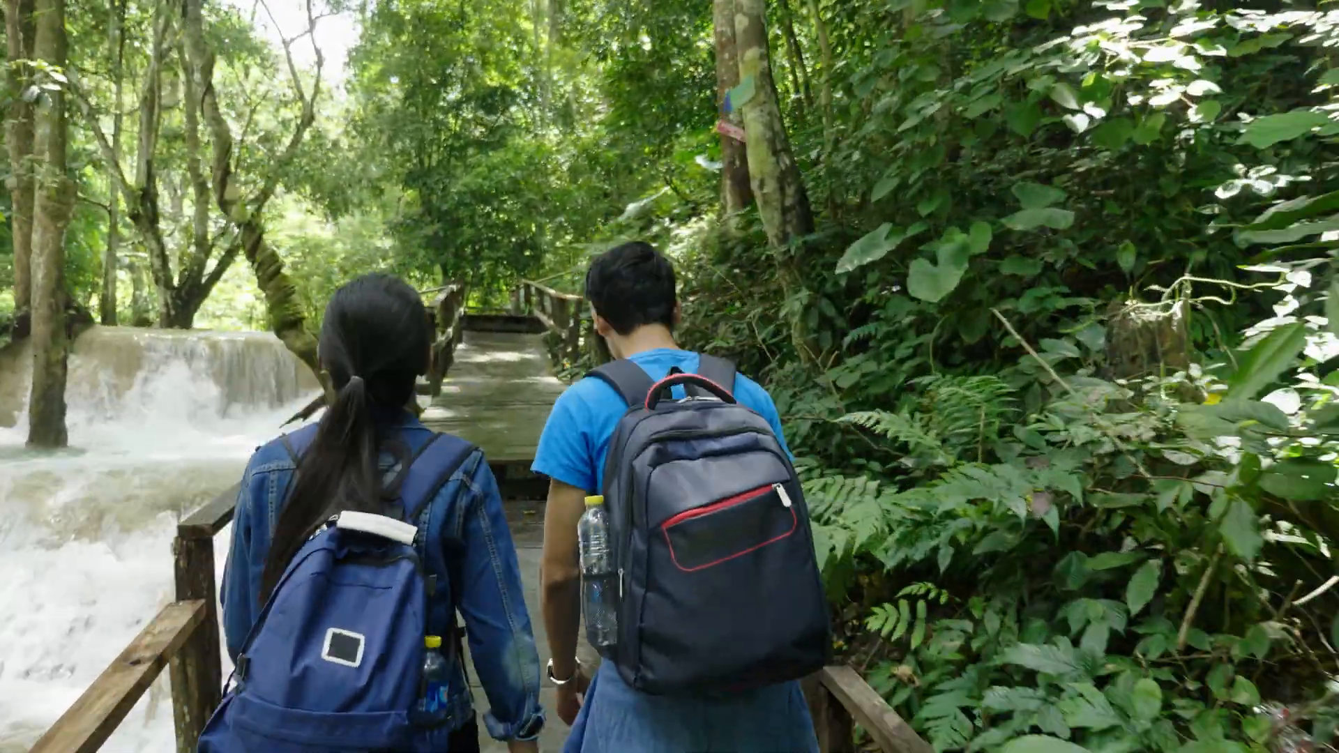 walking and hiking in the Abel Tasman National Park