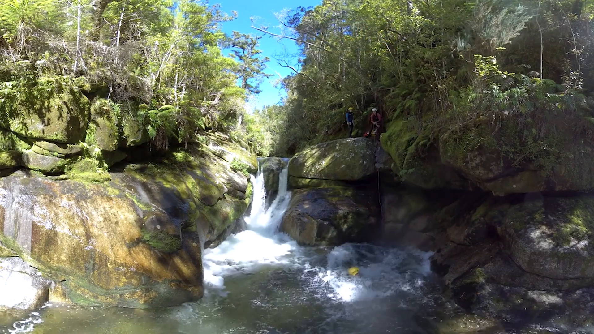 canyoning in the Abel Tasman National Park