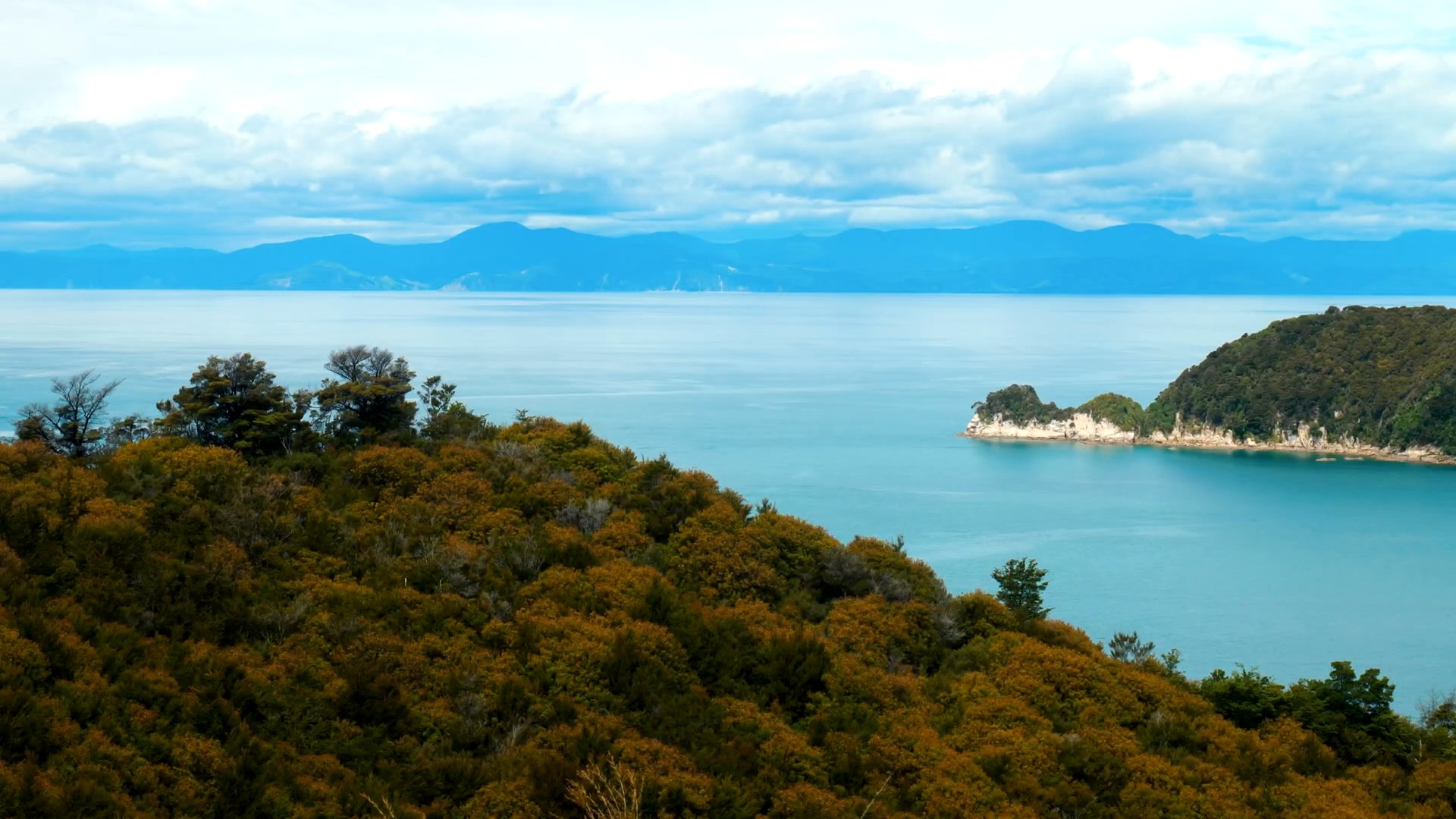 views over the tasman bay towards nelson