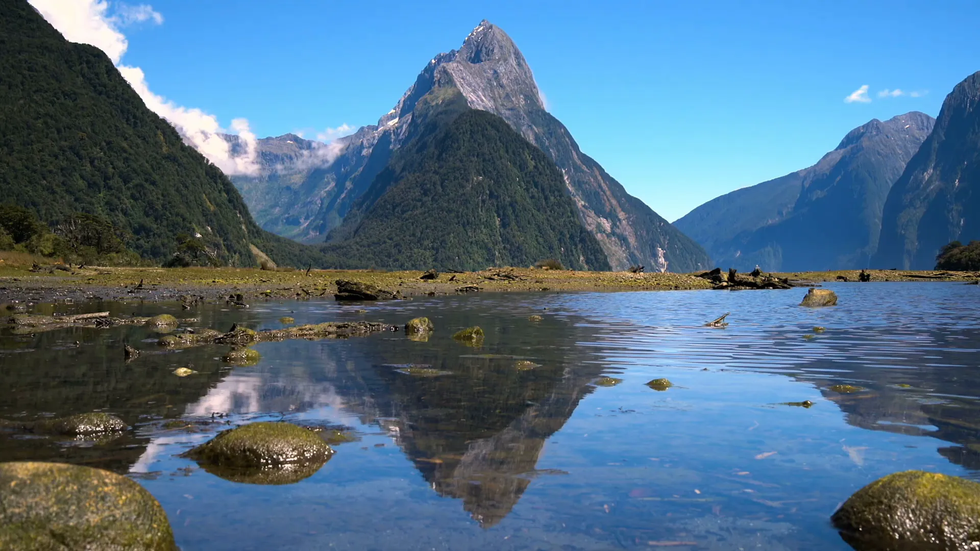 Milford Sound fiord and waterfall