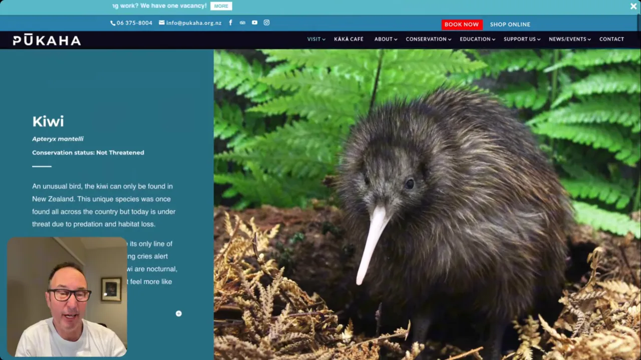 Pukaha wildlife centre forest walk