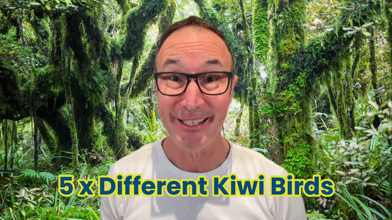 Diagram showing kiwi species distribution across NZ