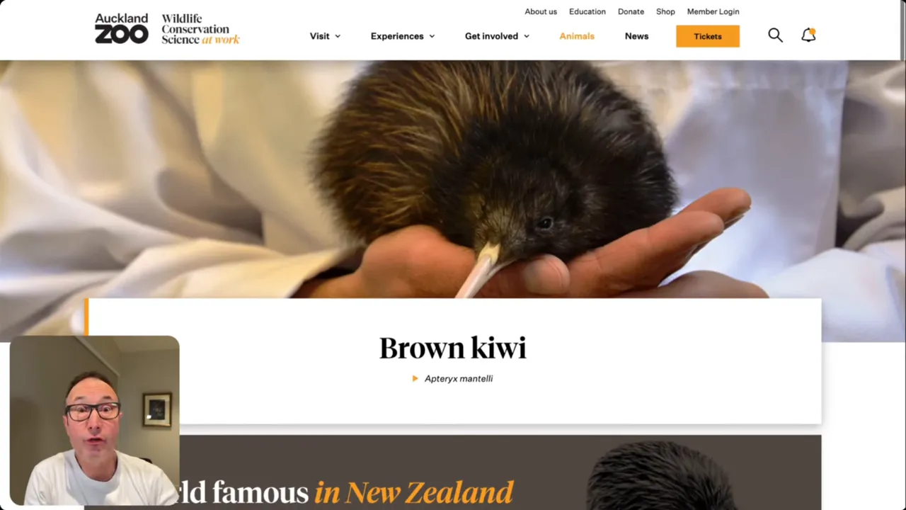 Visitors inside a kiwi night house watching kiwis