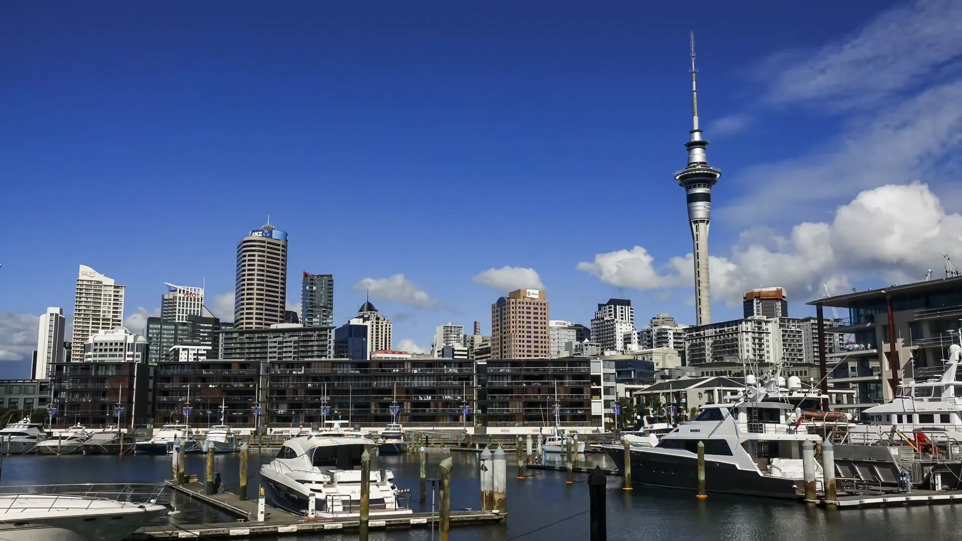 Auckland Exploration - New Zealand honeymoon trip