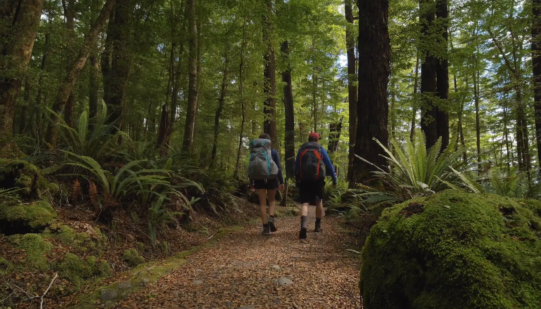 Traveler enjoying a scenic hike in New Zealand