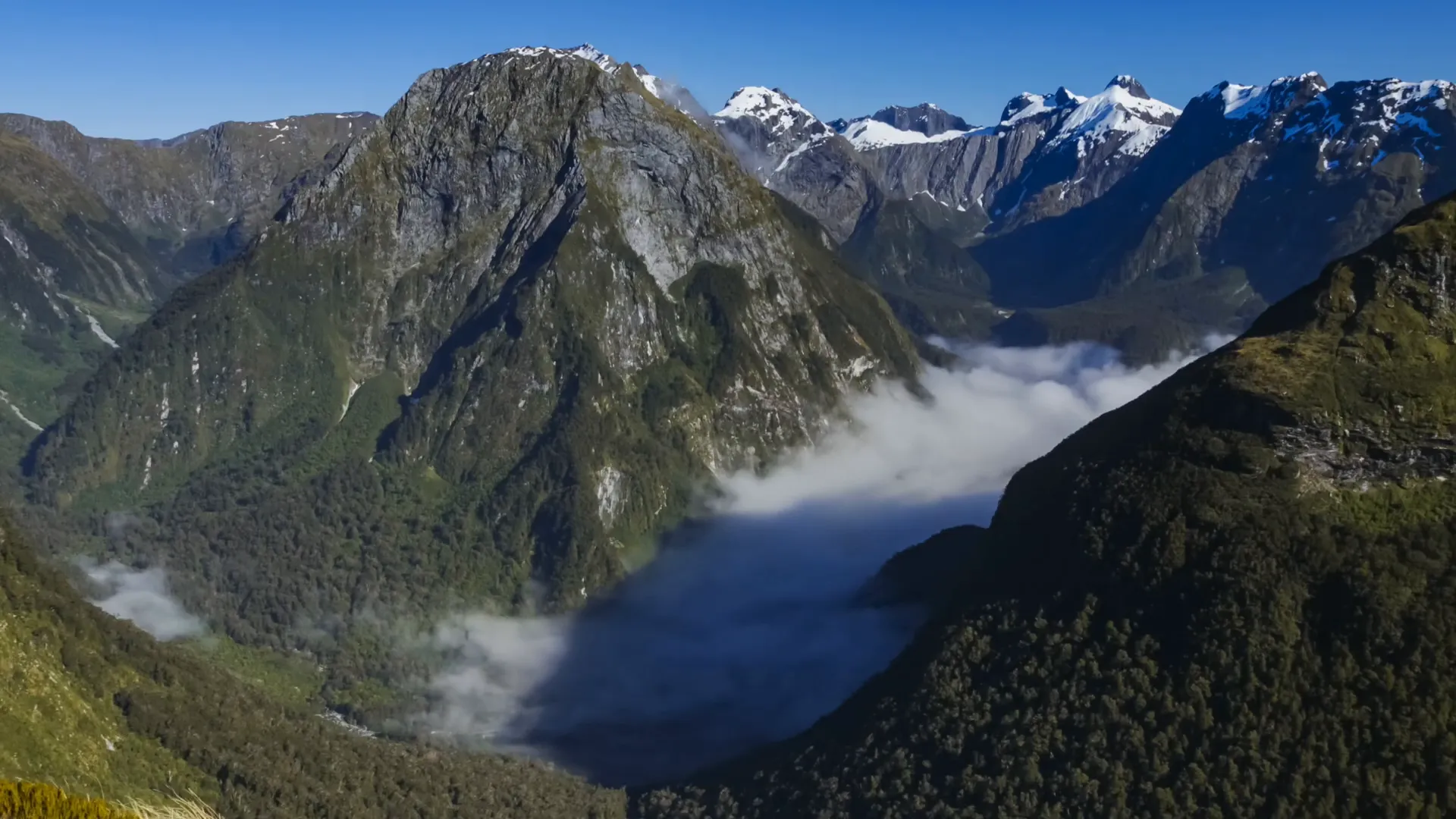 Cruise on Milford Sound