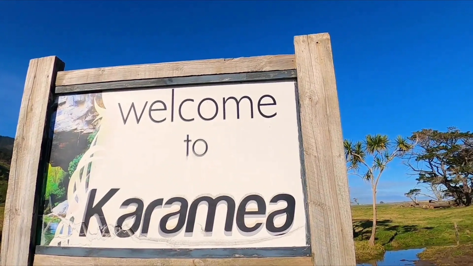 Karamea rainforest