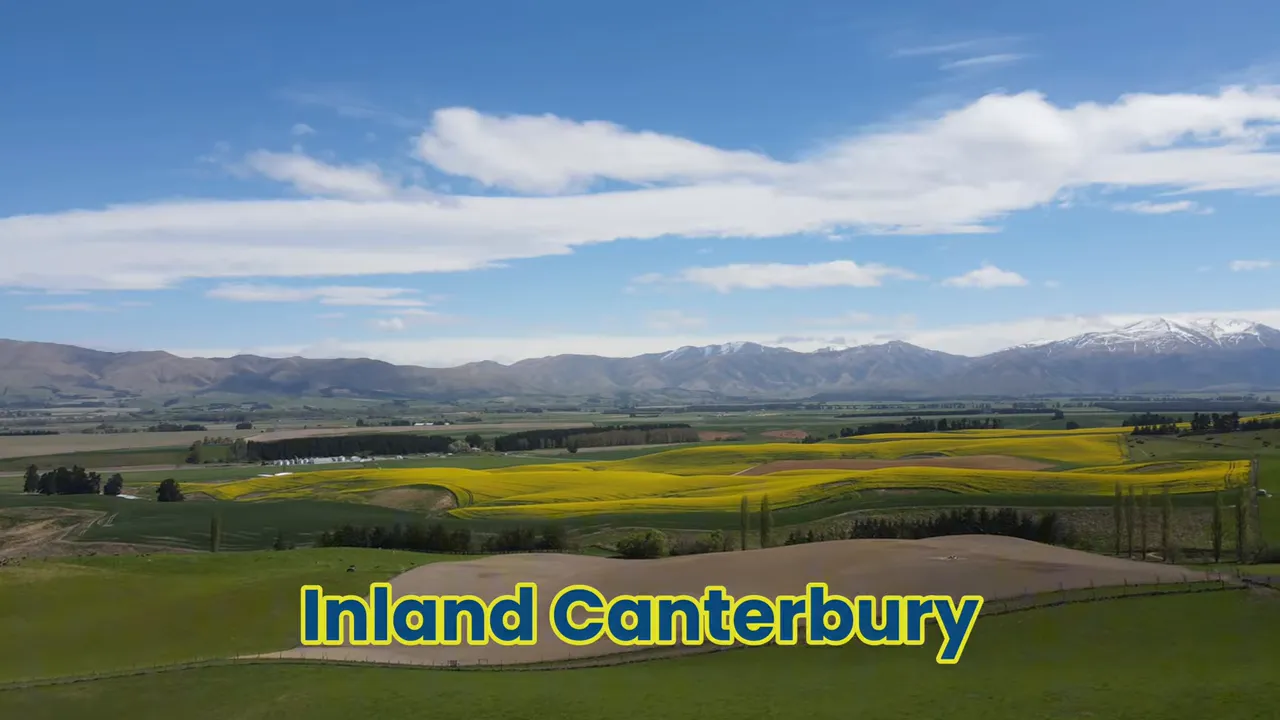 Canterbury inland scenic route: rolling farmland and distant peaks