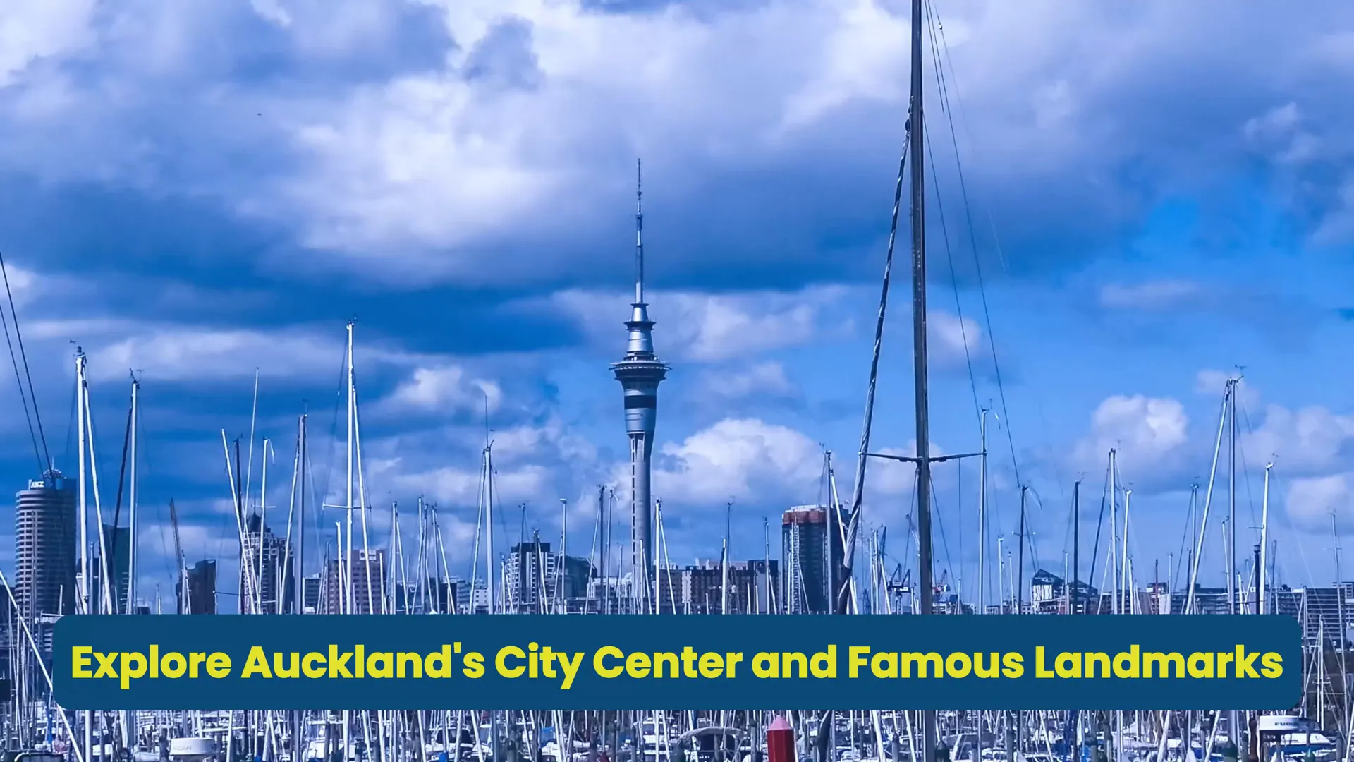 Auckland Things to do with View of Viaduct Harbour during a city walk