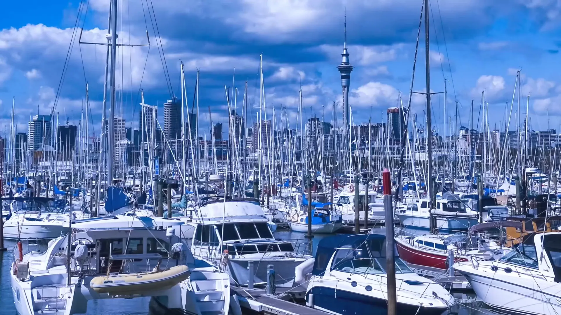 Sailing in Auckland Harbour with city skyline in the background