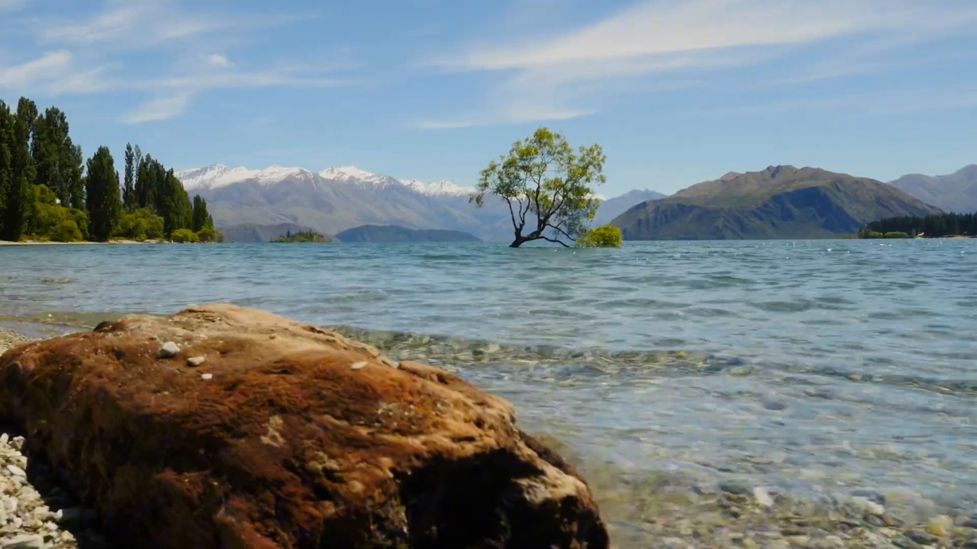 things to do in wanaka with the famous tree in the lake