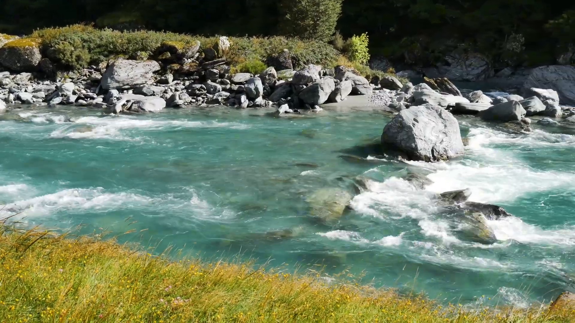 pure water running off the rob roy glacier in the mount aspiring national park