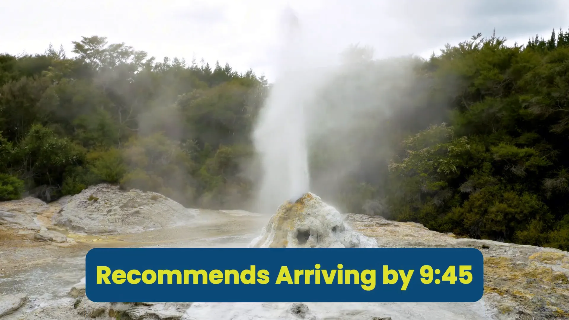 Lady Knox Geyser eruption at Waiotapu - Discovering the Waimangu Volcanic Valley and Waiotapu Thermal Wonderland