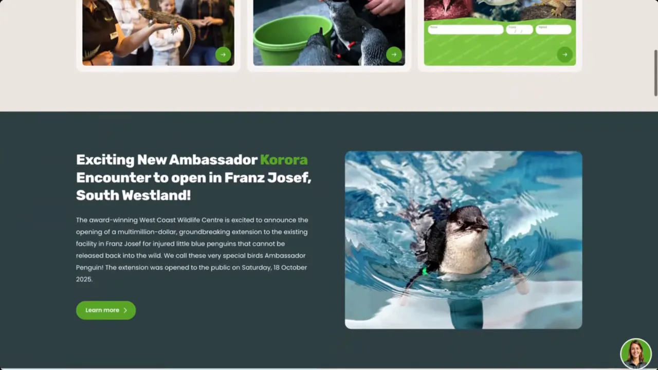 Inside a visitor centre with displays about wildlife and conservation