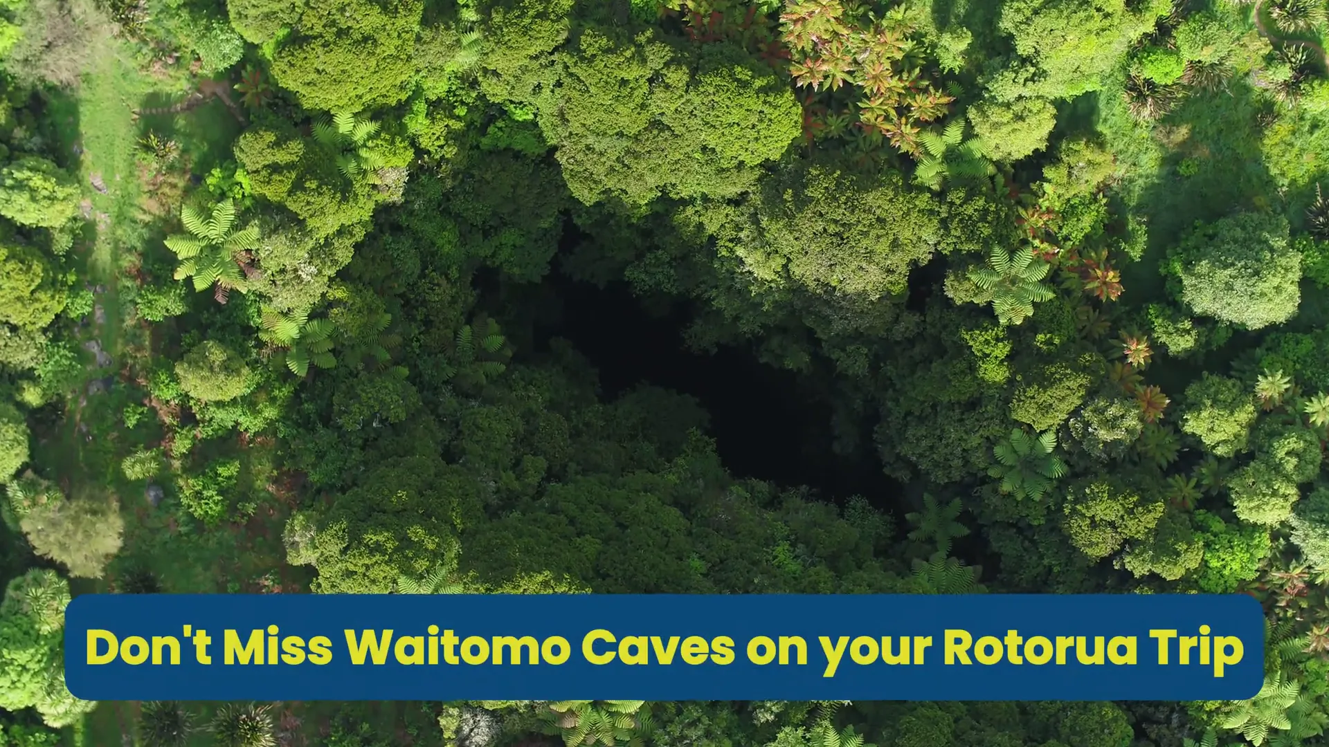 Glowworms in Waitomo Caves