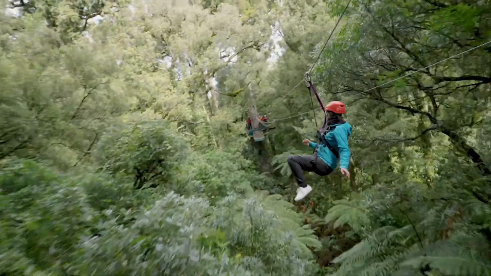 Ziplining at Rotorua Canopy Tours