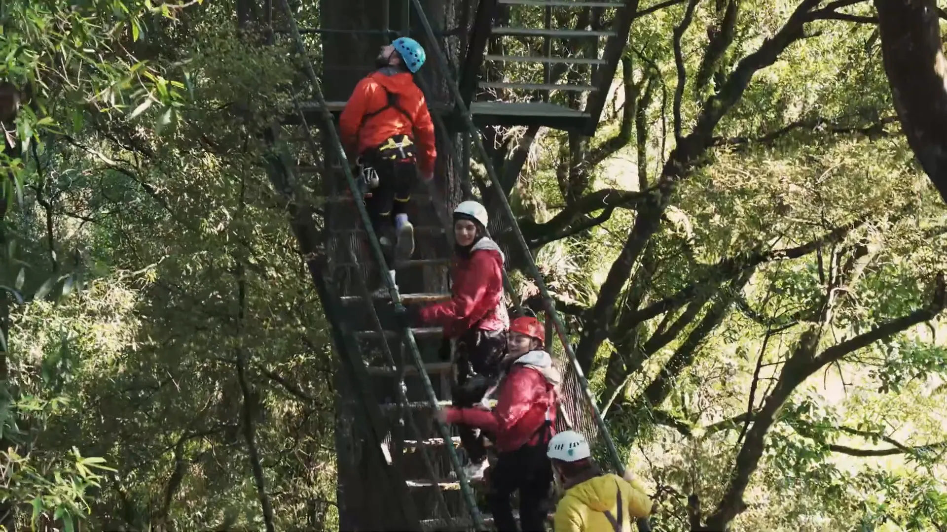 Swing-bridges in Rotorua Canopy Tour