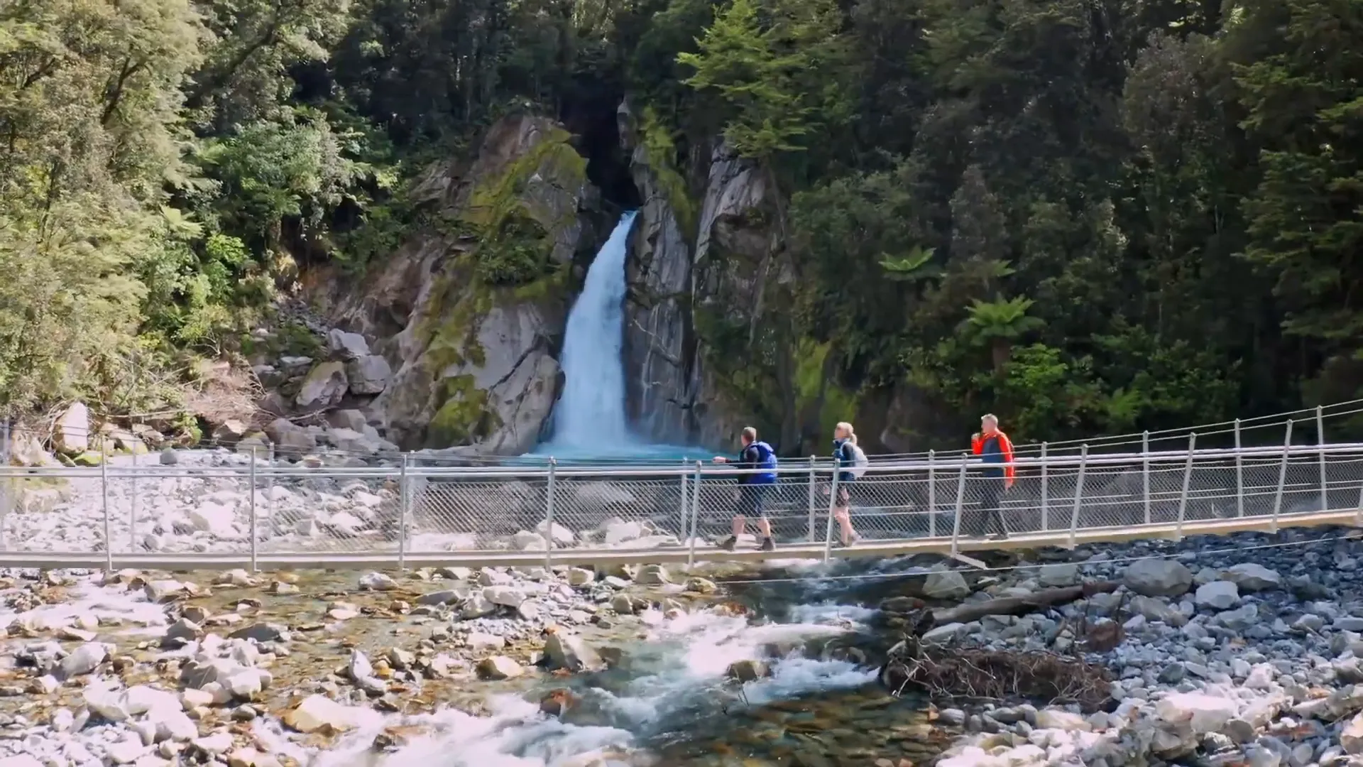 Cruise on Milford Sound