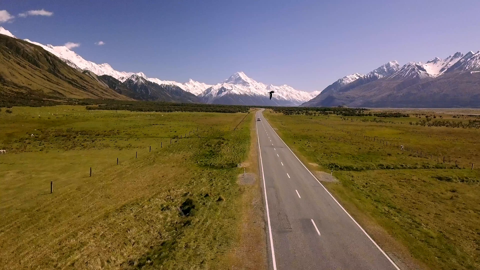 Family travelling during the spring season in New Zealand.